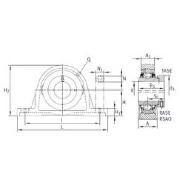 Bearing RASE60-FA164 INA