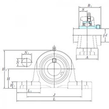 Bearing NAP206 KOYO