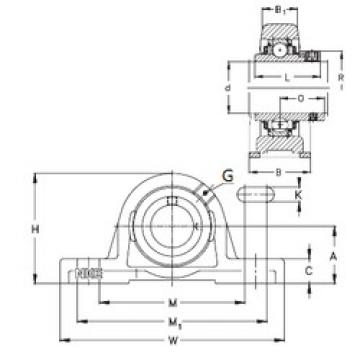 Bearing PASE20-N NKE