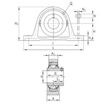 Bearing RAKY1-1/4 INA