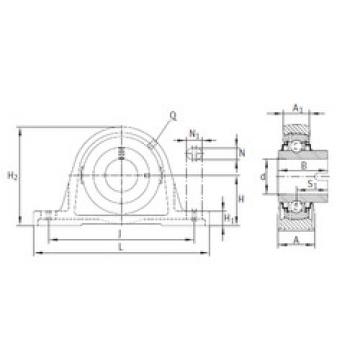 Bearing RASEL30-N INA