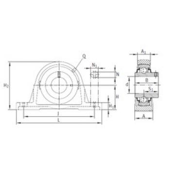 Bearing RASEY45-JIS INA