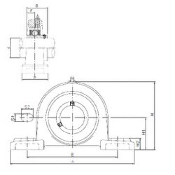 Bearing UCP207 ISO