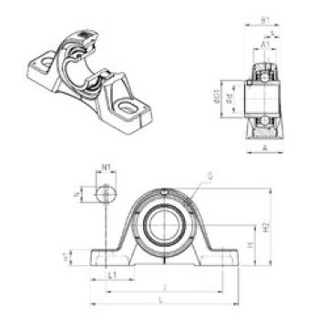 Bearing UCPE206 SNR