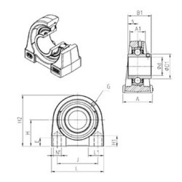 Bearing UCPG203 SNR