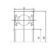 Bearing 6002-2NSE9 NACHI