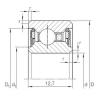 Bearing CSCU 045.2RS INA