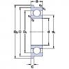 Bearing D/W R1-4 R SKF