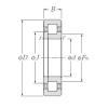 Bearing NUP219E CYSD