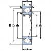 Bearing 719/8 ACE/P4A SKF