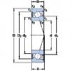 Bearing S7007 CE/P4A SKF #1 small image