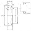 Bearing VEB 100 /NS 7CE1 SNFA