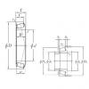 Bearing M244249/M244210 KOYO