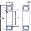 Bearing NU 39/1060 ECKMA/HA1 SKF #1 small image