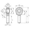 Bearing GAKFR 10 PB INA