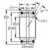 Bearing GE110ES-2RS AST