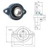 Bearing BLF201-8 FYH