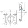 Bearing NANF204-12 KOYO