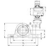 Bearing PASE20-N NKE