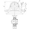 Bearing RASEY1-1/2 INA