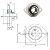 Bearing SBPFL207-23 FYH #1 small image