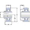 Bearing SY 40 TDW SKF #1 small image