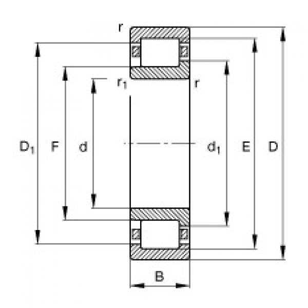 Bearing NJ208-E-TVP2 FAG #1 image