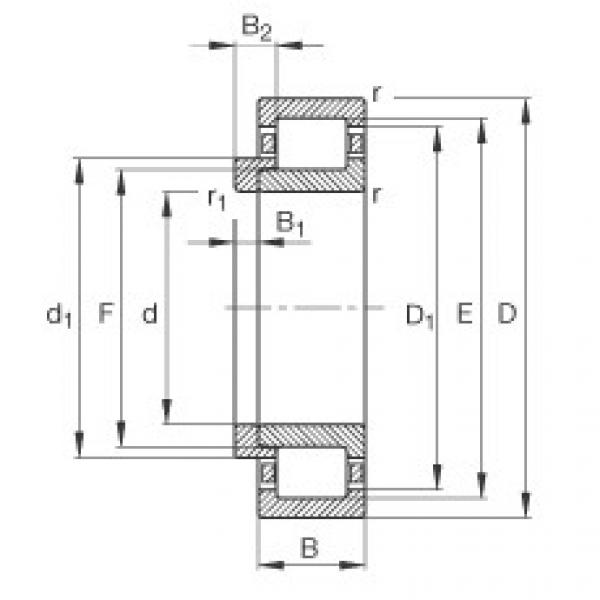 Bearing NJ2224-E-TVP2 + HJ2224-E FAG #1 image