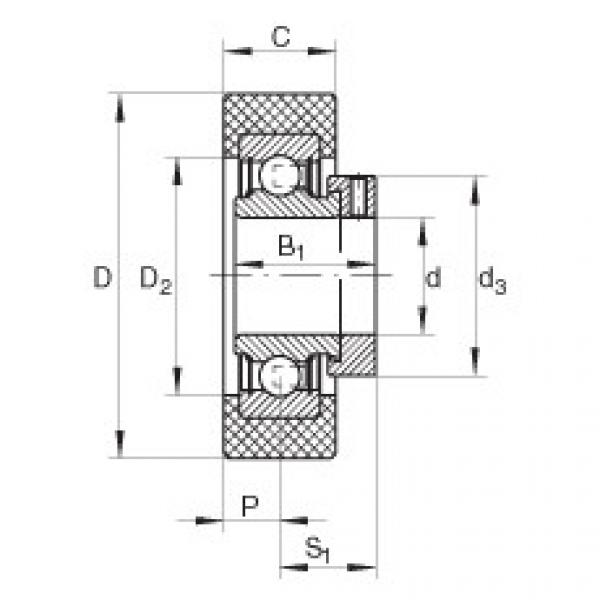 Bearing RCSMB20/65-FA106 INA #1 image