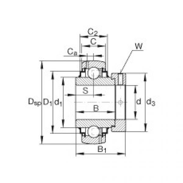 Bearing G1012-KRR-B-AS2/V INA #1 image