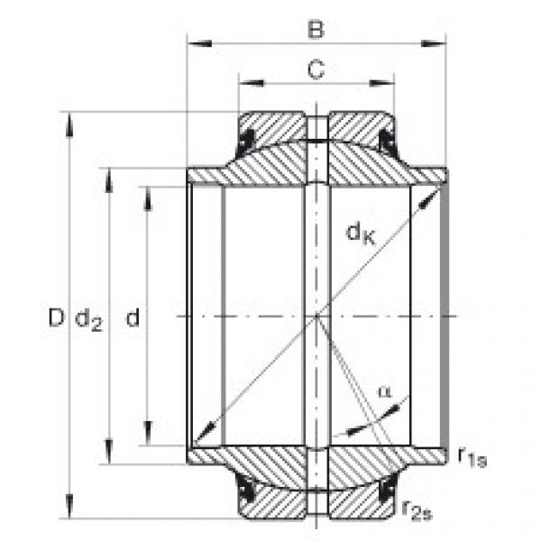 Bearing GE20-HO-2RS INA #1 image