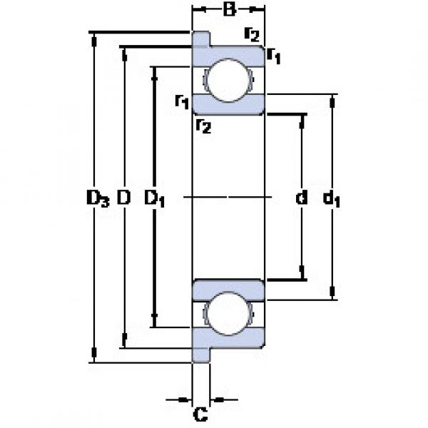 Bearing D/W RW144 R SKF #1 image