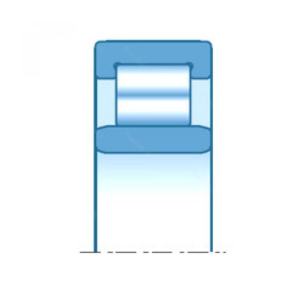 Bearing F-561309/F-236820 INA #1 image