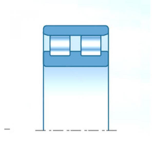 Bearing 2R1013 NTN #1 image