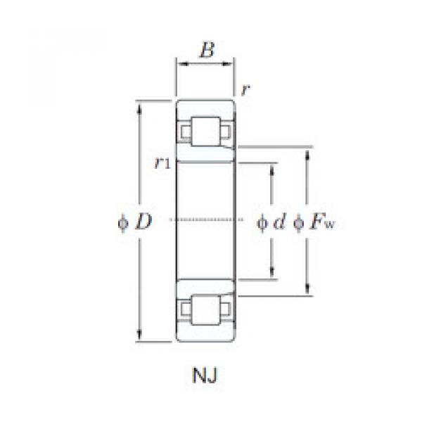 Bearing NJ205R KOYO #1 image