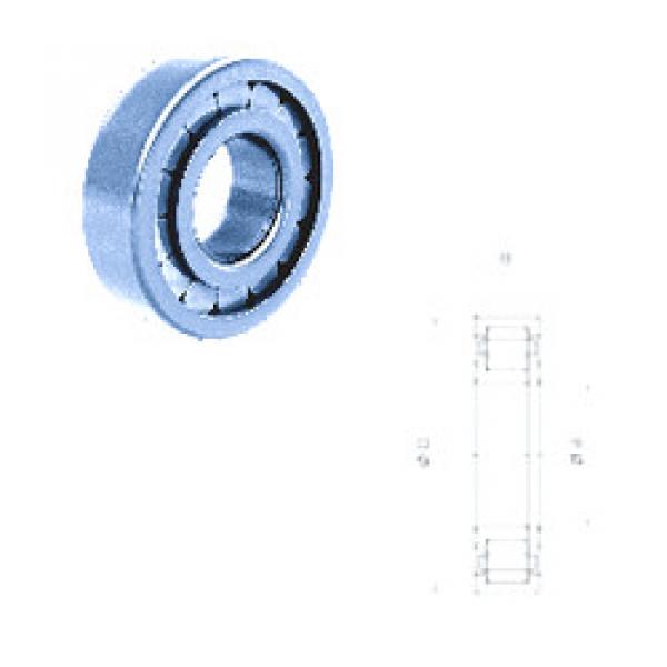 Bearing NUP304FM/C3 Fersa #1 image