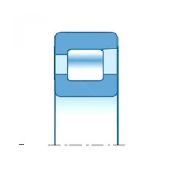 Bearing E-NFV312 NTN #1 image