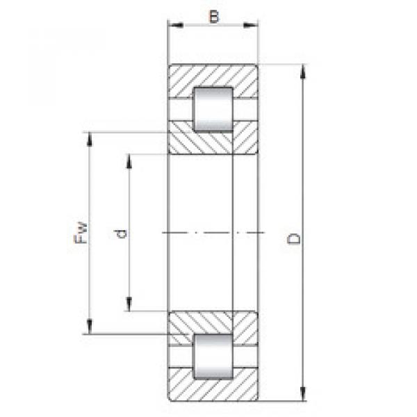 Bearing NUP10/800 CX #1 image