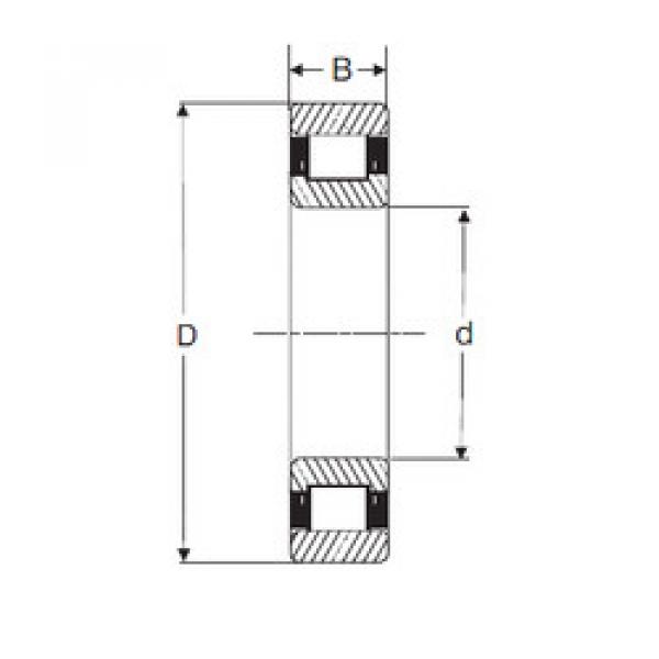 Bearing LRJ 1 SIGMA #1 image