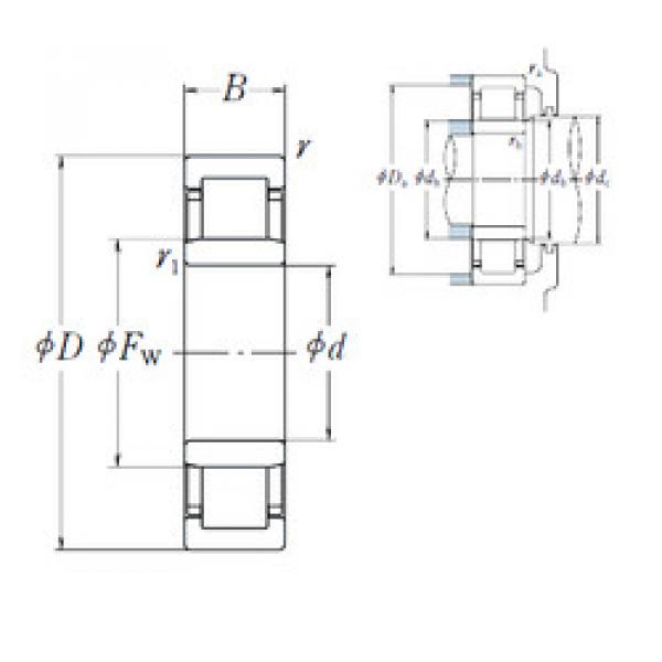 Bearing NU 205 EW NSK #1 image