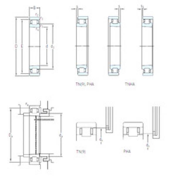 Bearing N 1017 KTN9/SP SKF #1 image