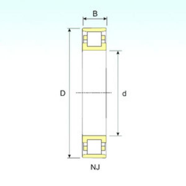 Bearing N 203 ISB #1 image