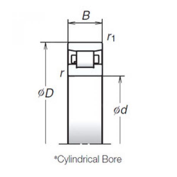 Bearing N1006MR1 NSK #1 image