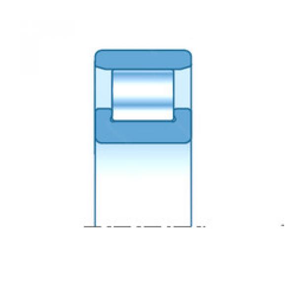 Bearing N315EG15 SNR #1 image