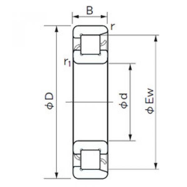 Bearing NF 1007 NACHI #1 image