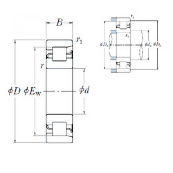 Bearing NF 312 NSK #1 image