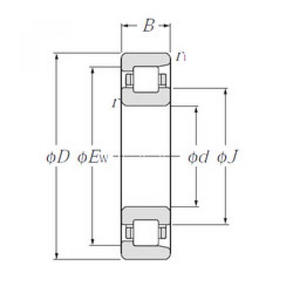 Bearing NF219 NTN #1 image