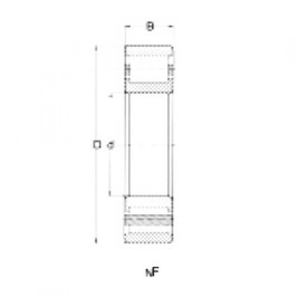 Bearing NF305 CRAFT #1 image