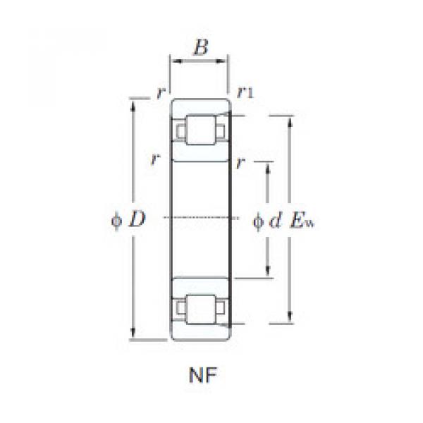 Bearing NF224 KOYO #1 image