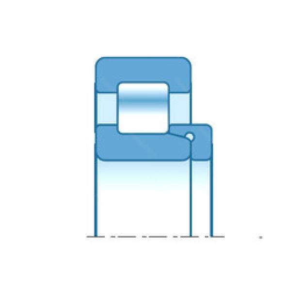 Bearing NH419 NTN #1 image